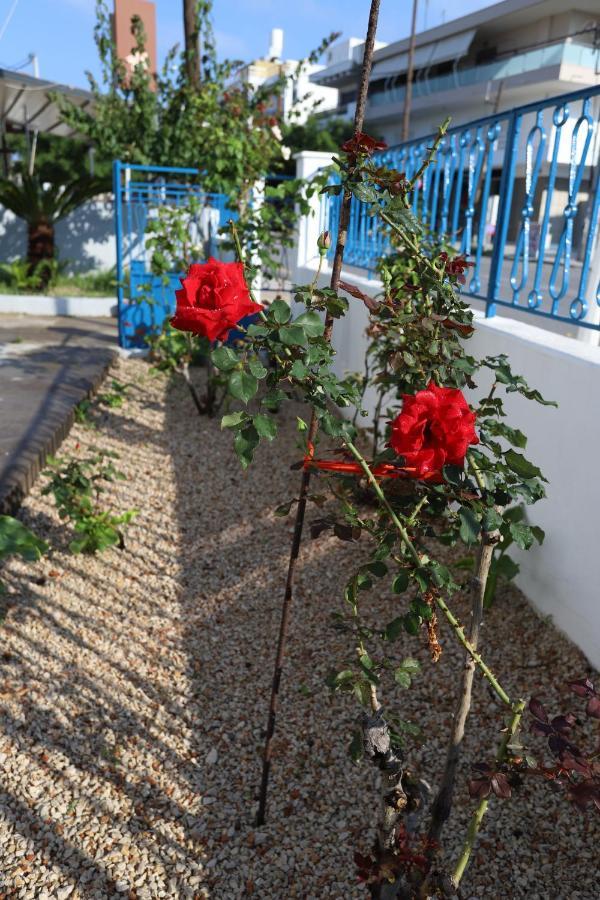 Traditional Town Garden Apartment Rhodes City Exteriér fotografie